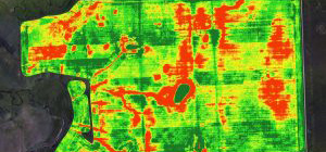 SIZED-NDVI-Map-of-Field-300x191